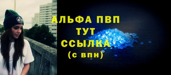 спиды Пестово