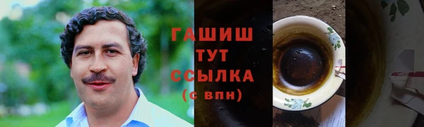 индика Володарск